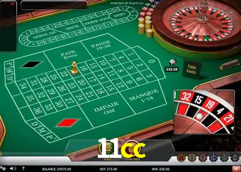 Apostas Esportivas na 11cc: Um Guia Completo